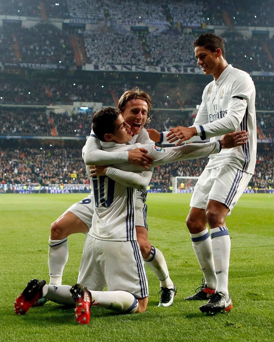 仅证明了 仅证明了