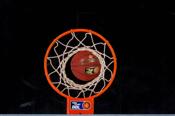 福建男篮的 福建男篮的